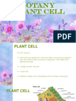 Lecture 4 Plant Cell