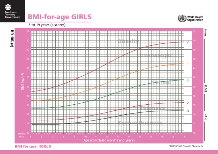 Bmi for Age Girls 5 19 Body Mass Index Obesity