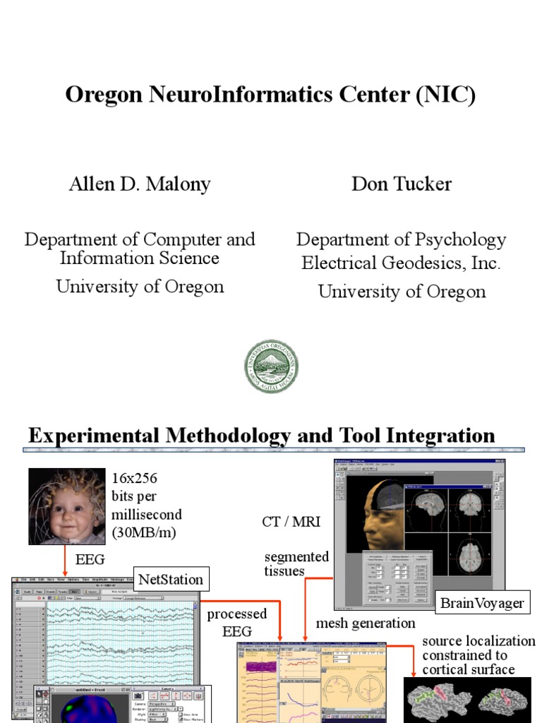 Introduction to Neuroinformatics | PDF | Magnetoencephalography | Event ...