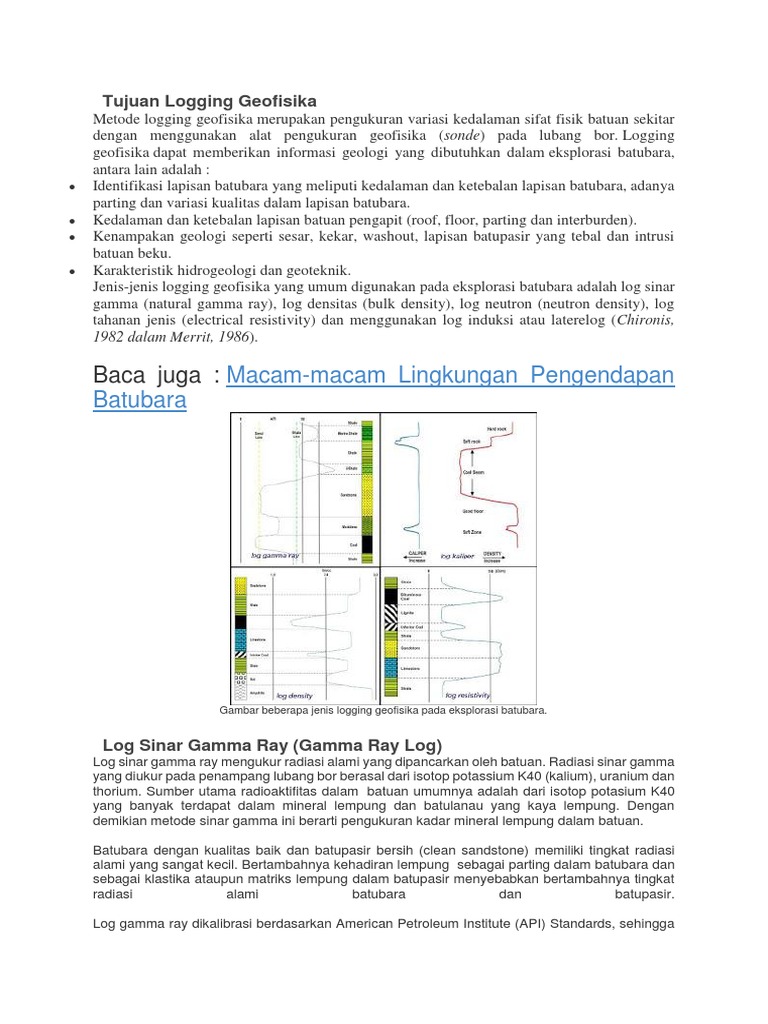 Metode Logging Geofisika untuk Batubara | PDF