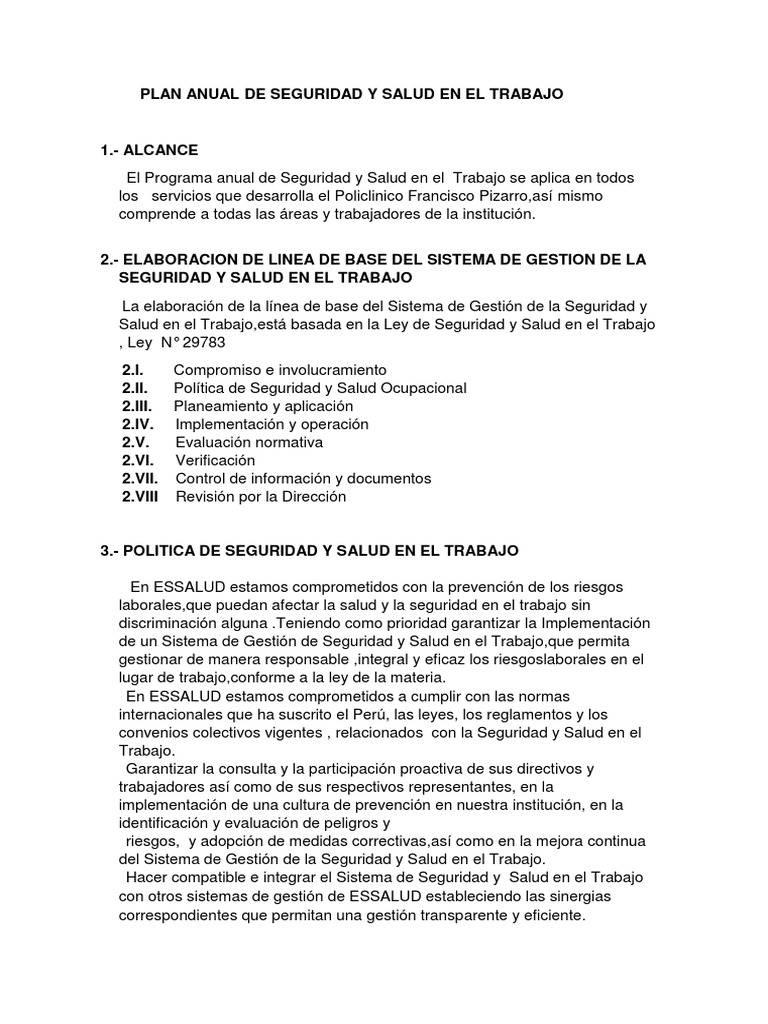 Plan Anual de Seguridad y Salud Laboral | PDF | La seguridad | Accidentes