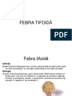 Febra