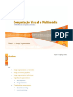 Computação Visual e Multimédia: Image Segmentation