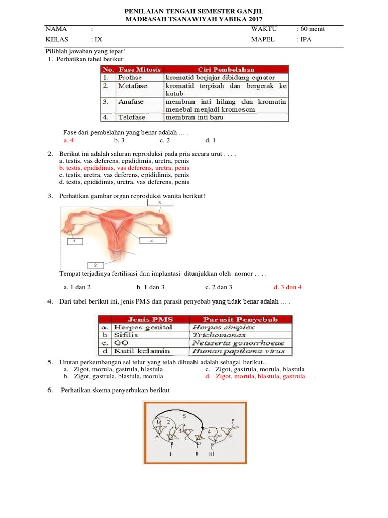 Soal PTS IPA Kelas 9