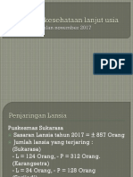 Program Kesehataan Lanjut Usia