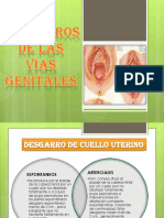 Desgarros perineales: clasificación, etiología y tratamiento