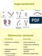 Clase2 Morfologia Bacteriana