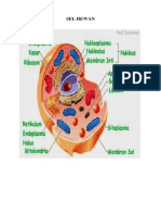 Tugas Sel Hewan Dan Sel Tumbuhan