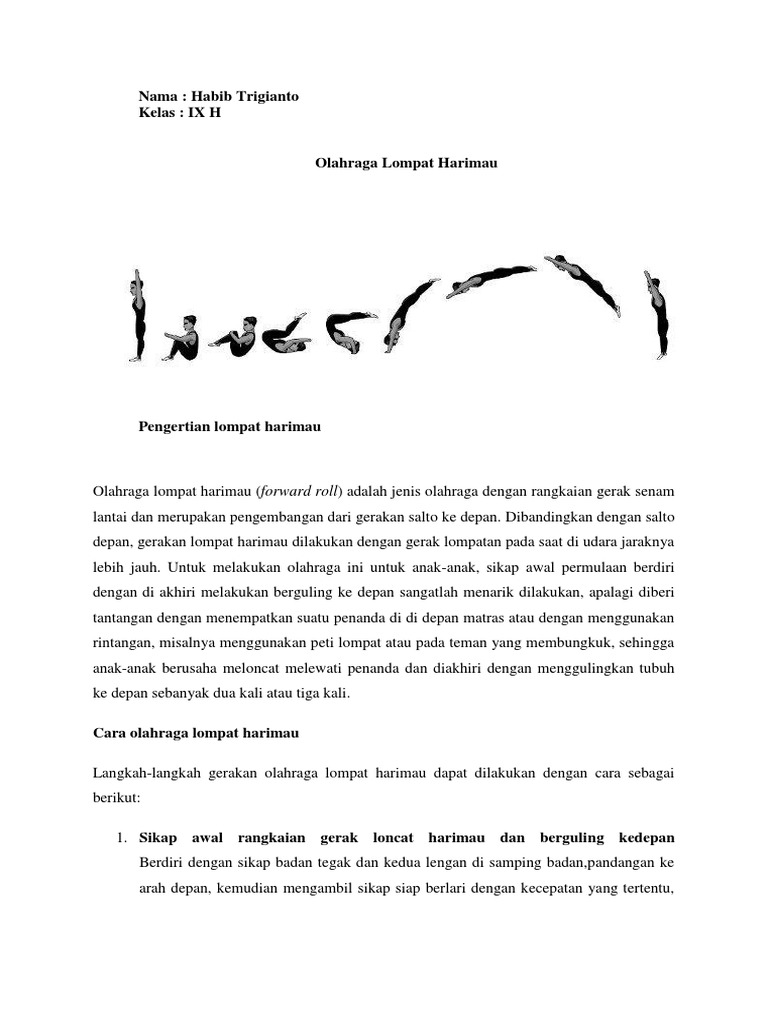 Top Download Gambar Harimau Bergerak Goodgambar Top Download Gambar Harimau Bergerak Goodgambar