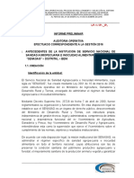 1. INFORME PRELIMINAR - AUDITORIA DE GESTION