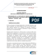 Informe Preliminar - Auditoria de Gestion