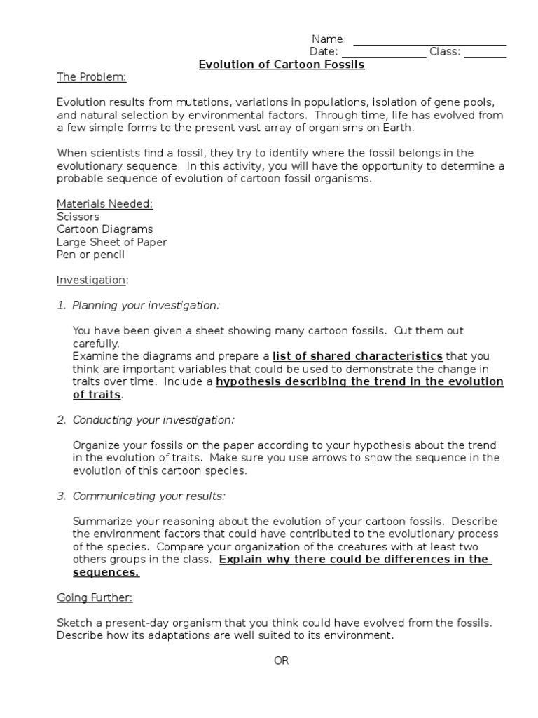 Cartoon Fossils Assignment PDF Fossil Evolution