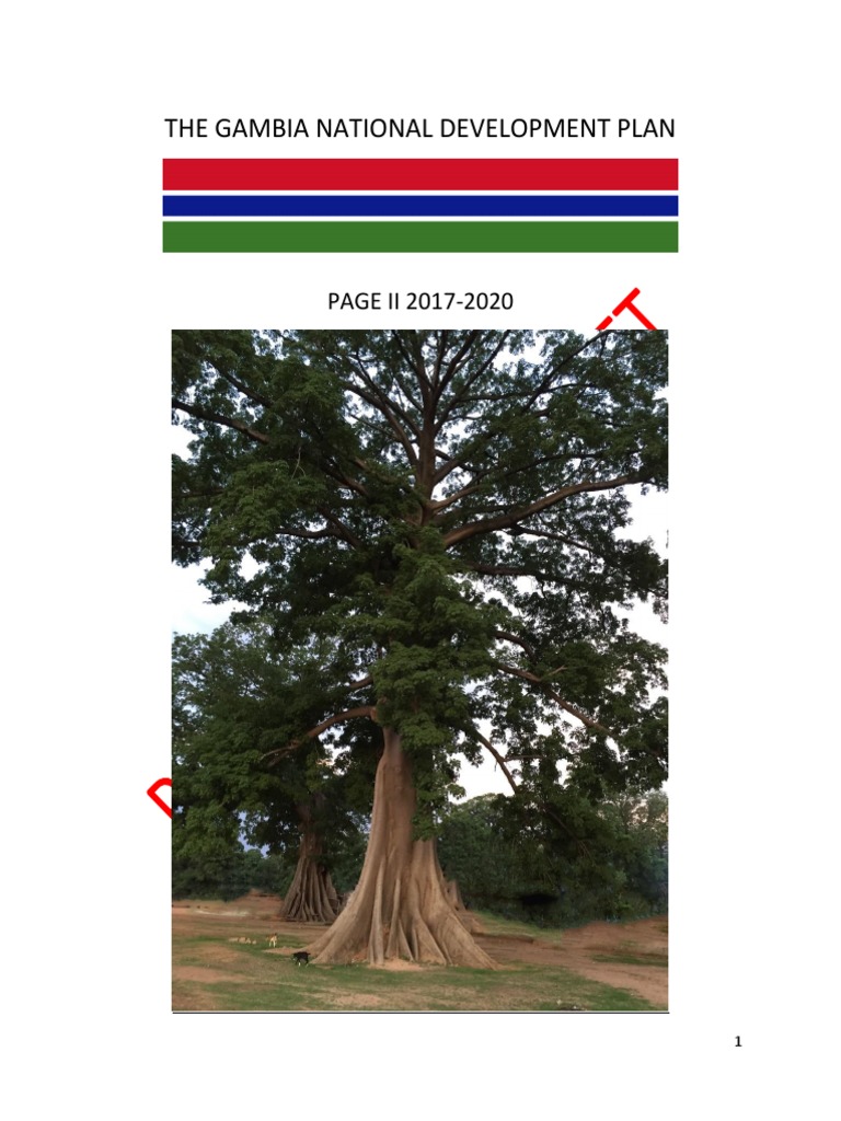 Gambia National Development Plan 2017-2020 | PDF | Economic Growth ...
