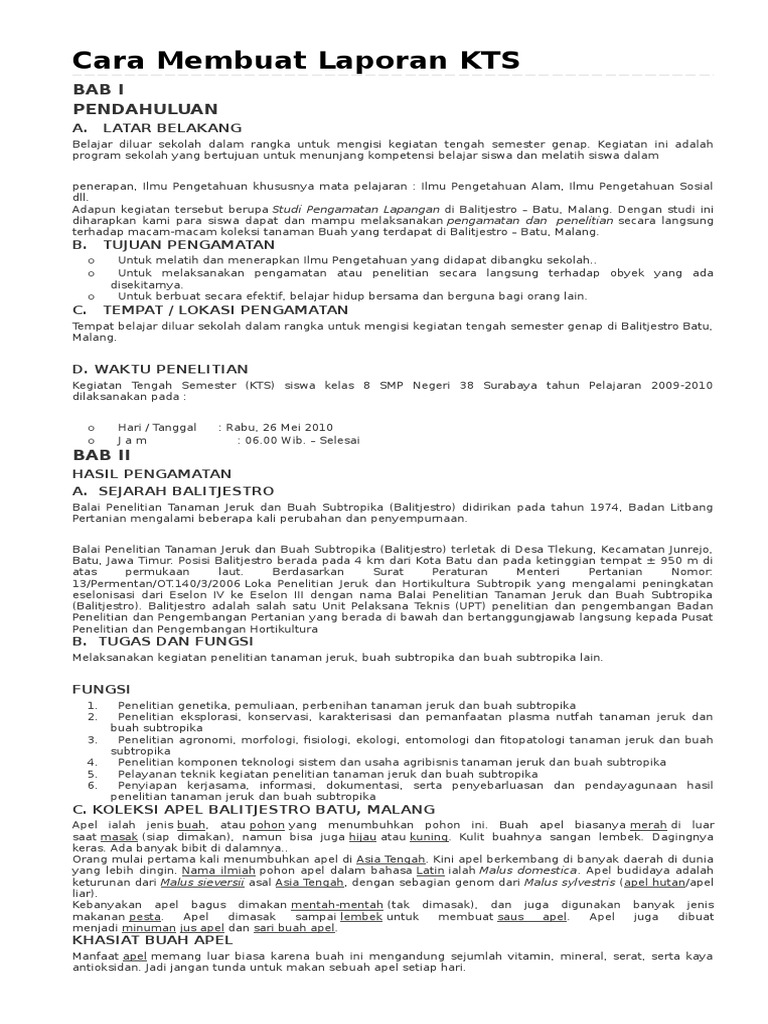 Panduan Laporan Kegiatan KTS Sekolah | PDF