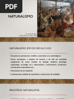 Naturalismo - Slide