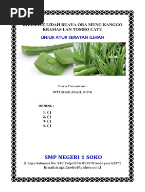 Makalah Bahasa Jawa Lida Buaya