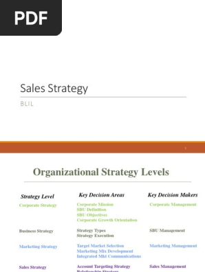 Build Sales Strategy