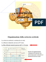 9 Corteccia Motoria