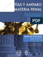 Garantias y Amparo en Materia Penal