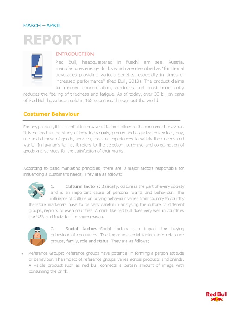 Redbull Report (Consumer Behavior) | PDF | Consumer Behaviour | Behavior