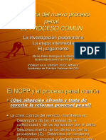 MPR - Estructura NPP - Proceso Común