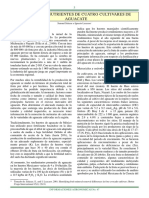 Remoción de Nutrientes de Cuatro Cultivares de Aguacate PDF