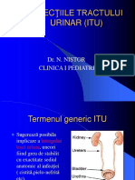 Infec Ţiile Tractului Urinar (Itu) : Dr. N. Nistor Clinica I Pediatrie