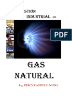 Combustion Industrial de Gas Natural