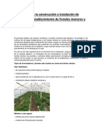 Infografía para La Construcción e Instalación de Túneles para Establecimiento de Frutales Menores y Hortalizas