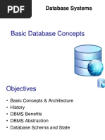 Basic Database Concepts