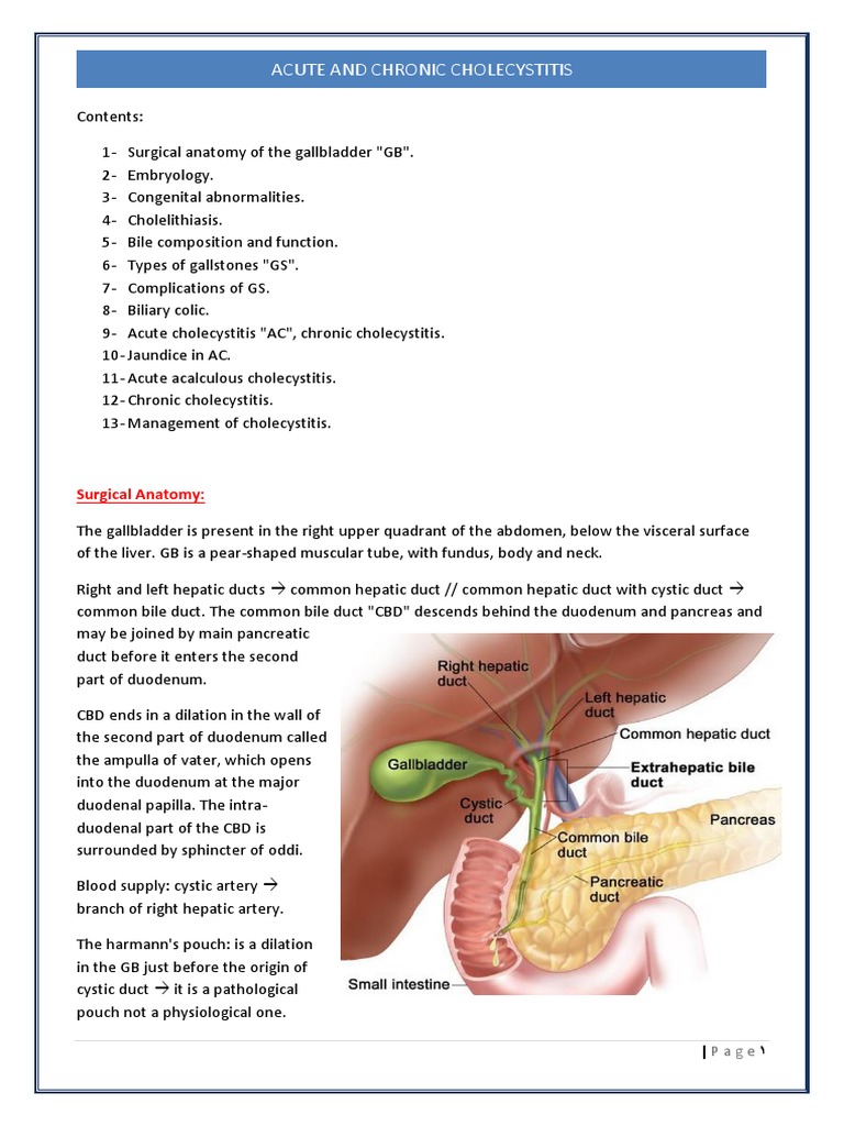 02. Acute and Chronic Cholecystitis Gallbladder Digestive Diseases