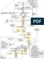 Glycolysis Flow Chart