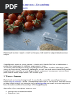Como Plantar Tomate Em Vasos