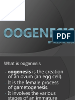 01 Oogenesis