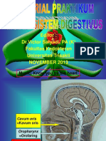 Tutorial Model Sistem Digestivus 1 2013