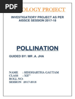 Download Pollination class 12 biology project by Siddhartha Gautama SN369586500 doc pdf
