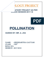Pollination Class 12 Biology Project
