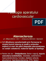 Lp12 Pat. Cardiovaculara