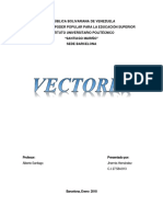 Vector Es