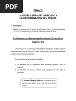 TEMA VI