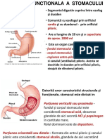 C9 Curs Digestie Stomac 2011