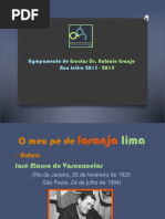 apresentaomeupdelaranjalima-131029095028-phpapp01