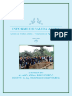 Informe Ambiental-Visitas A Lima
