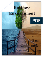 Business Environment: Group Members