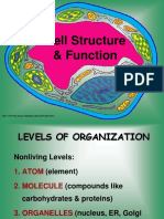 Cell Structure & Function