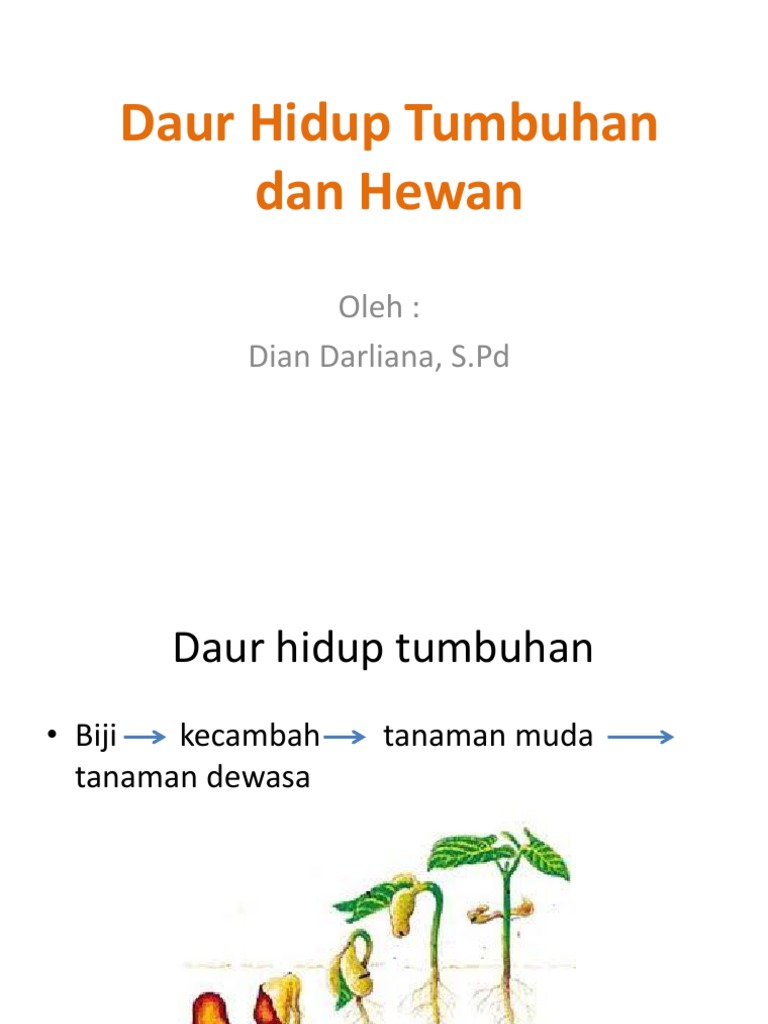  Daur  Hidup  Tumbuhan Dan Hewan 