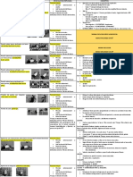 resumen cinesiologia 2