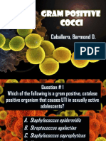  Cocci +