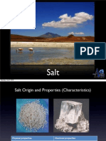 Salt Presentation