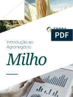 Ebook-Instrodução-ao-Agronegócio-milho